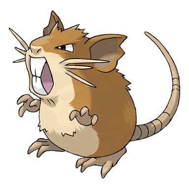 Raticate