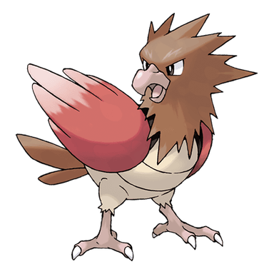 Spearow