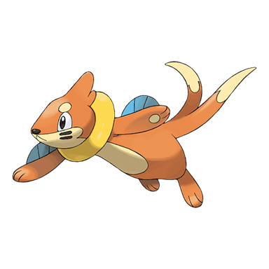 Buizel